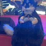 黑昼焰 的头像