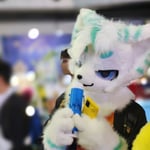 柯基 的头像