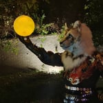 三元 的头像