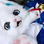 羽 的头像