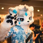 overwolf 的头像