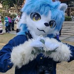 Hasen桦川秦