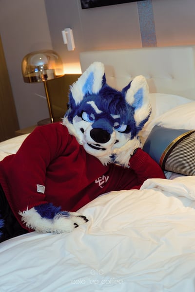 Image by Vald威尔德