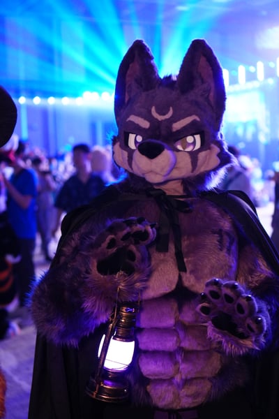 Image by 灵魂狼丨月光